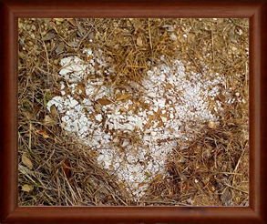 "Plastic Love" London Artworks