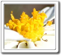 London Breaking News