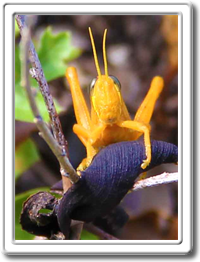 London Famous Paintings