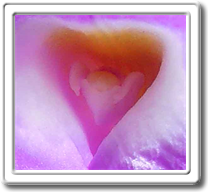 London Breaking News