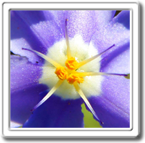 London Art Galleries