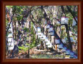 Land Art With Purpose